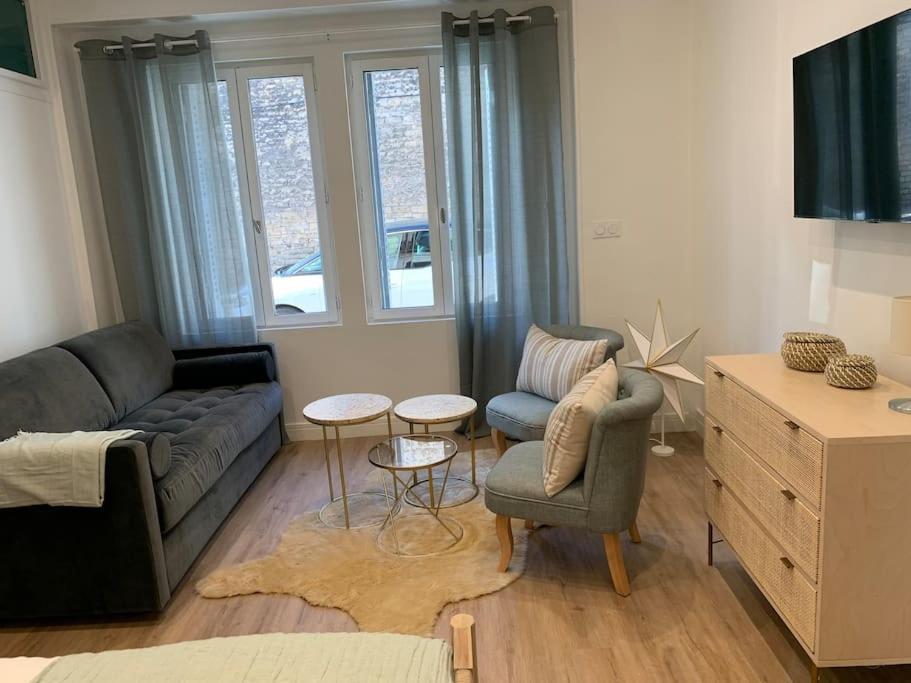 Appartement Chaleureux Dijon Bagian luar foto